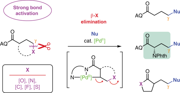 Activation of diverse carbon–heteroatom and carbon–carbon bonds via palladium(<span class="small-caps u-small-caps">ii</span>)-catalysed β-X elimination