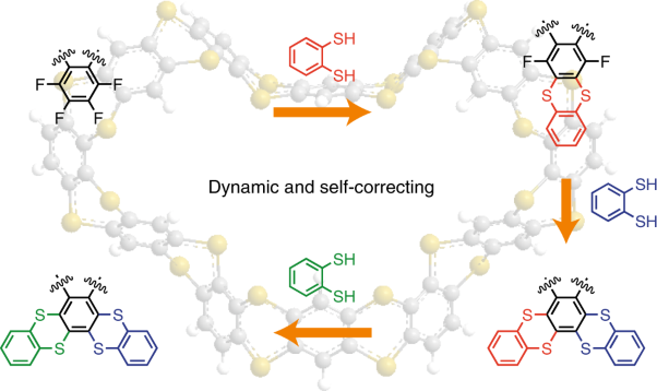 Dynamic self-correcting nucleophilic aromatic substitution