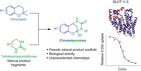 Chromopynones are pseudo natural product glucose uptake inhibitors targeting glucose transporters GLUT-1 and -3