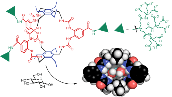 A biomimetic receptor for glucose