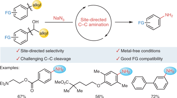 From alkylarenes to anilines via site-directed carbon–carbon amination