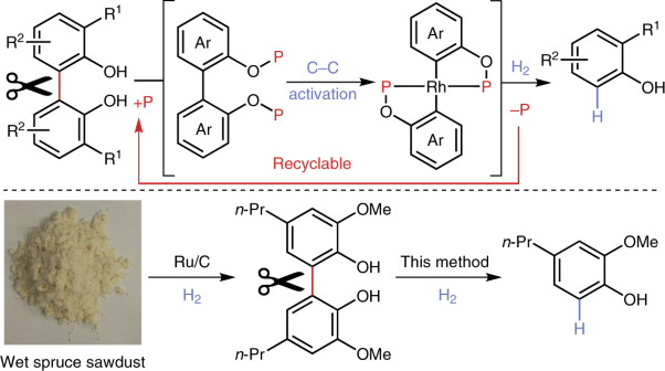 Catalytic activation of unstrained C(aryl)–C(aryl) bonds in 2,2′-biphenols