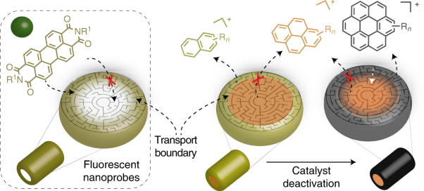 Visualizing pore architecture and molecular transport boundaries in catalyst bodies with fluorescent nanoprobes