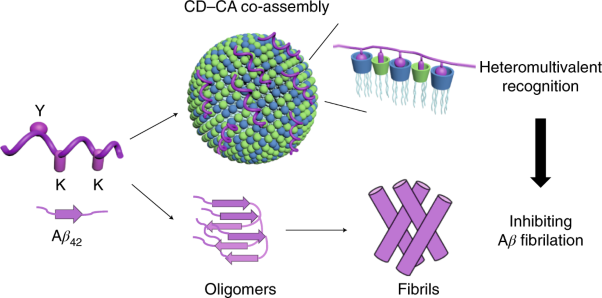 Heteromultivalent peptide recognition by co<b>-</b>assembly of cyclodextrin and calixarene amphiphiles enables inhibition of amyloid fibrillation