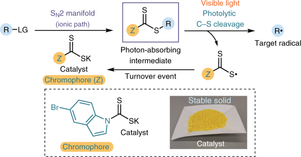 Photochemical generation of radicals from alkyl electrophiles using a nucleophilic organic catalyst