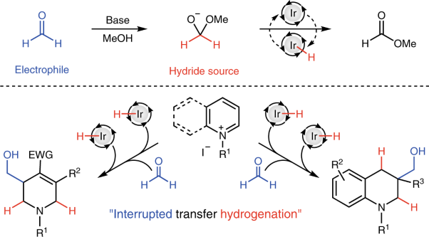The reductive C3 functionalization of pyridinium and quinolinium salts through iridium-catalysed interrupted transfer hydrogenation