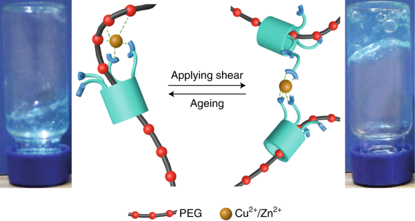 Shear-induced assembly of a transient yet highly stretchable hydrogel based on pseudopolyrotaxanes