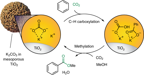 A closed cycle for esterifying aromatic hydrocarbons with CO<sub>2</sub> and alcohol