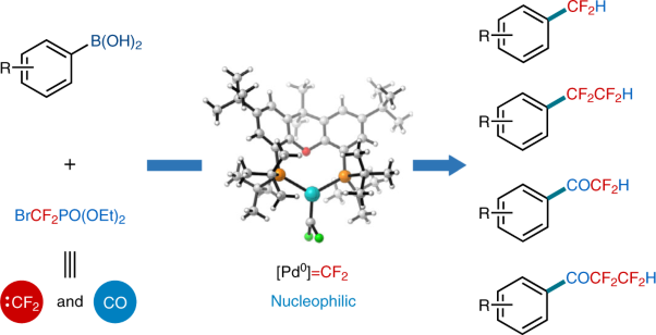 Controllable catalytic difluorocarbene transfer enables access to diversified fluoroalkylated arenes