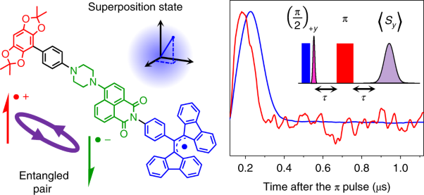 Photodriven quantum teleportation of an electron spin state in a covalent donor–acceptor–radical system