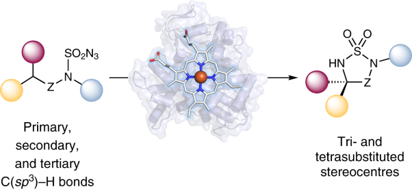 An enzymatic platform for the asymmetric amination of primary, secondary and tertiary C(<i>sp</i><sup>3</sup>)–H bonds