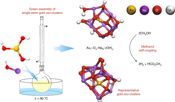 Single-atom gold oxo-clusters prepared in alkaline solutions catalyse the heterogeneous methanol self-coupling reactions