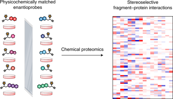 Expedited mapping of the ligandable proteome using fully functionalized enantiomeric probe pairs