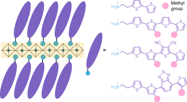 Molecular engineering of organic–inorganic hybrid perovskites quantum wells