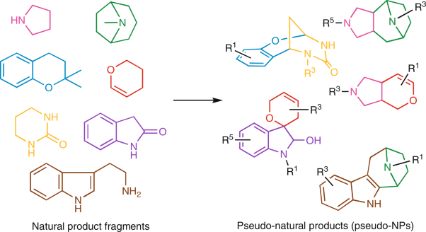 Principle and design of pseudo-natural products