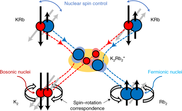 Nuclear spin conservation enables state-to-state control of ultracold molecular reactions