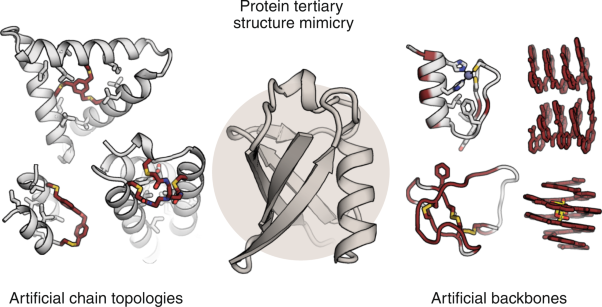 Proteomimetics as protein-inspired scaffolds with defined tertiary folding patterns