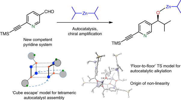 Demystifying the asymmetry-amplifying, autocatalytic behaviour of the Soai reaction through structural, mechanistic and computational studies