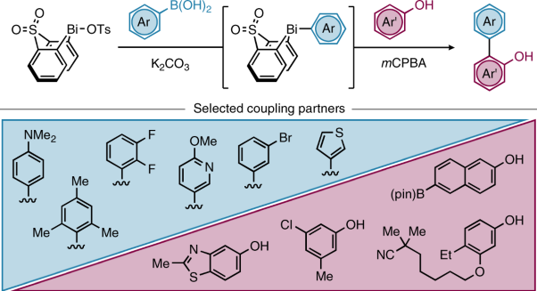 Modular bismacycles for the selective C–H arylation of phenols and naphthols