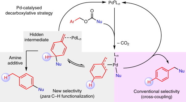 Connecting remote C–H bond functionalization and decarboxylative coupling using simple amines