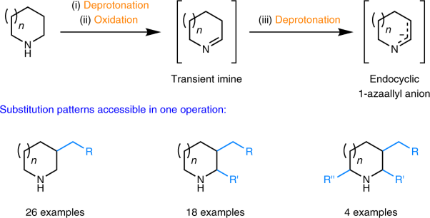 Rapid functionalization of multiple C–H bonds in unprotected alicyclic amines