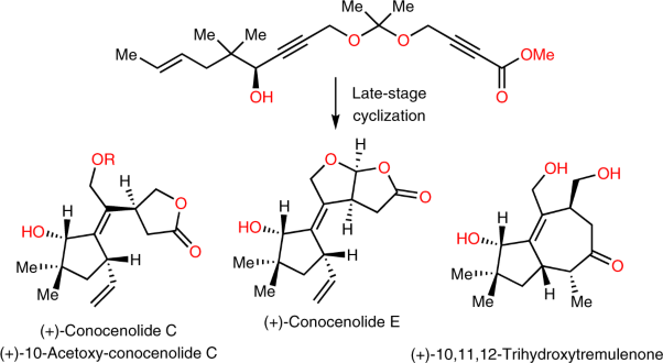 Total synthesis of terpenes via palladium-catalysed cyclization strategy