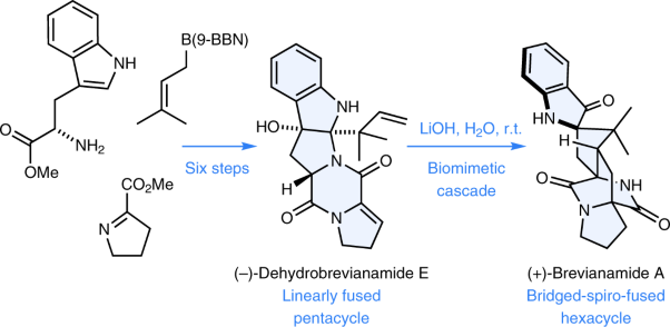 Total synthesis of brevianamide A