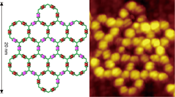 Intra- and intermolecular self-assembly of a 20-nm-wide supramolecular hexagonal grid