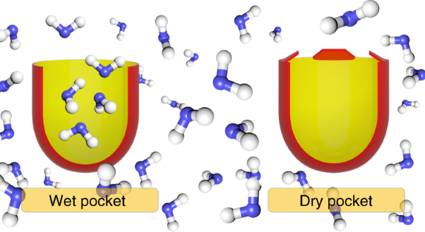 Spontaneous drying of non-polar deep-cavity cavitand pockets in aqueous solution