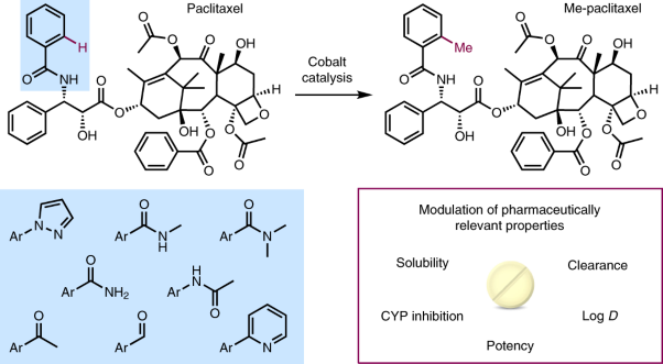 Cobalt-catalysed C–H methylation for late-stage drug diversification