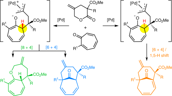 Stereoselective access to [5.5.0] and [4.4.1] bicyclic compounds through Pd-catalysed divergent higher-order cycloadditions