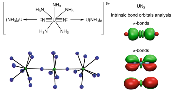 Complexes featuring a linear [N≡U≡N] core isoelectronic to the uranyl cation