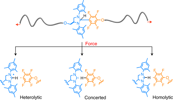 Three concomitant C–C dissociation pathways during the mechanical activation of an N-heterocyclic carbene precursor