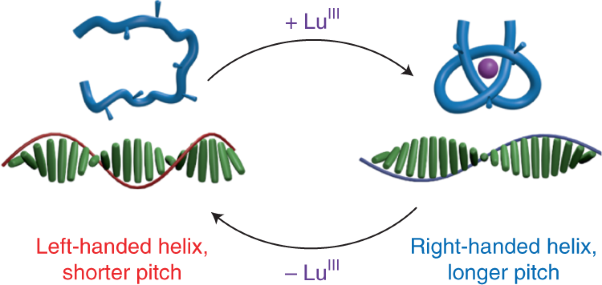 Knotting a molecular strand can invert macroscopic effects of chirality