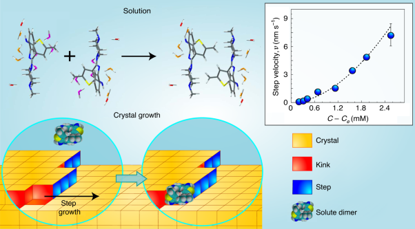 Olanzapine crystal symmetry originates in preformed centrosymmetric solute dimers