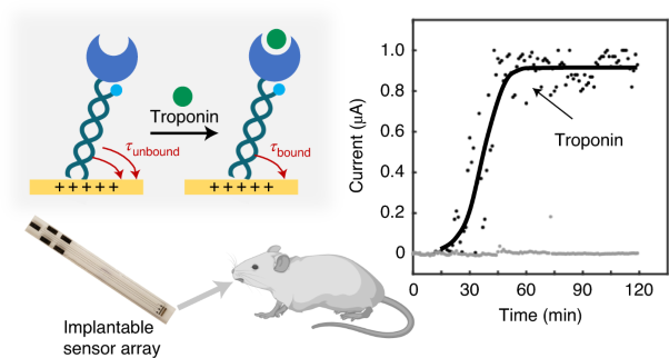 Reagentless biomolecular analysis using a molecular pendulum