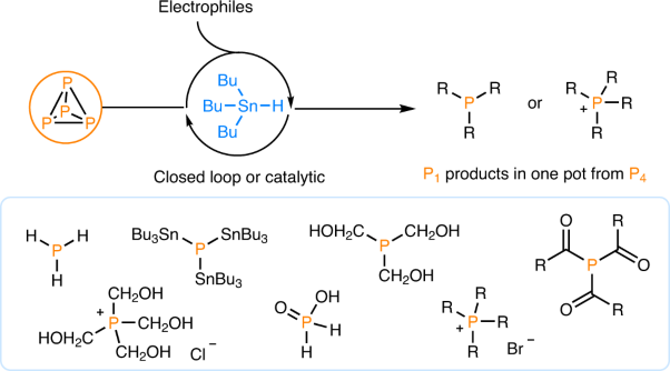 Synthesis of monophosphines directly from white phosphorus