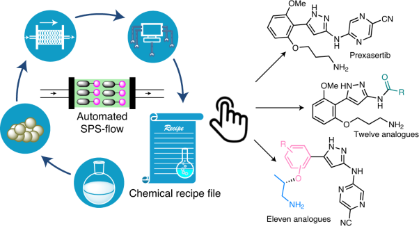 Automated synthesis of prexasertib and derivatives enabled by continuous-flow solid-phase synthesis