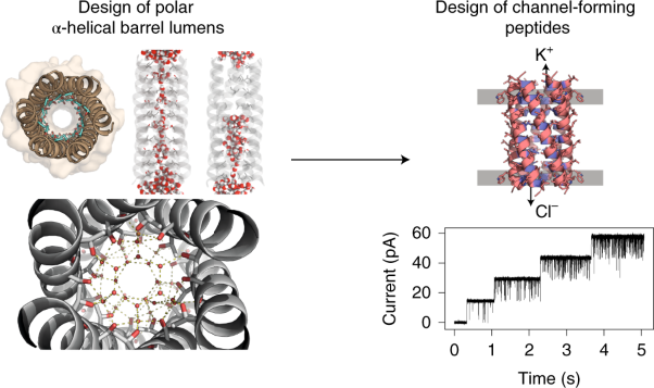 Constructing ion channels from water-soluble α-helical barrels