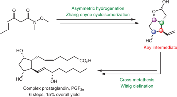 Concise, scalable and enantioselective total synthesis of prostaglandins