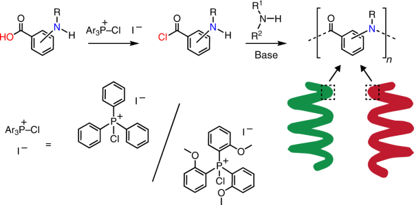 A versatile living polymerization method for aromatic amides
