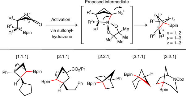 An intramolecular coupling approach to alkyl bioisosteres for the synthesis of multisubstituted bicycloalkyl boronates