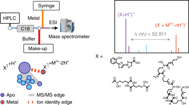 Native mass spectrometry-based metabolomics identifies metal-binding compounds