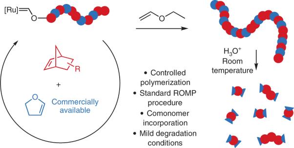 A versatile approach for the synthesis of degradable polymers via controlled ring-opening metathesis copolymerization