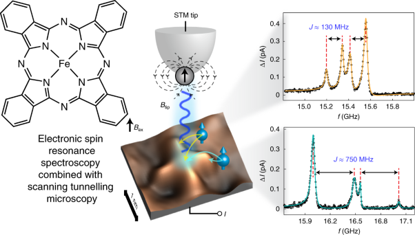 Electron spin resonance of single iron phthalocyanine molecules and role of their non-localized spins in magnetic interactions