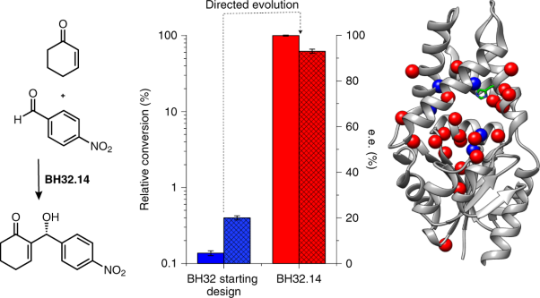 Engineering an efficient and enantioselective enzyme for the Morita–Baylis–Hillman reaction