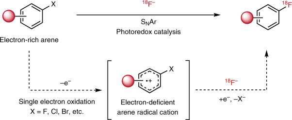 Arene radiofluorination enabled by photoredox-mediated halide interconversion