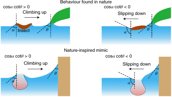 Continuous, autonomous subsurface cargo shuttling by nature-inspired meniscus-climbing systems