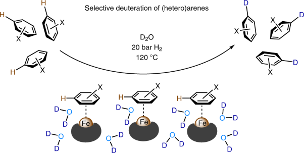 Scalable and selective deuteration of (hetero)arenes