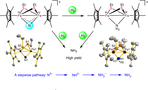 A thiolate-bridged Fe<sup>IV</sup>Fe<sup>IV</sup> μ-nitrido complex and its hydrogenation reactivity toward ammonia formation